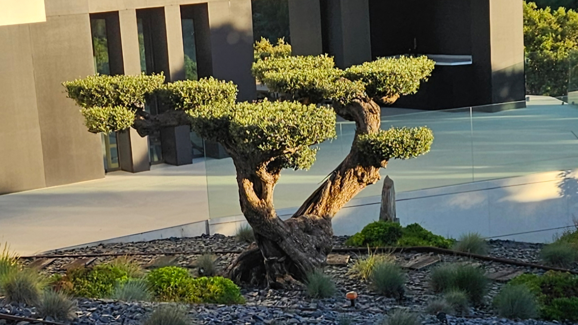 diseño de jardines boadilla del monte