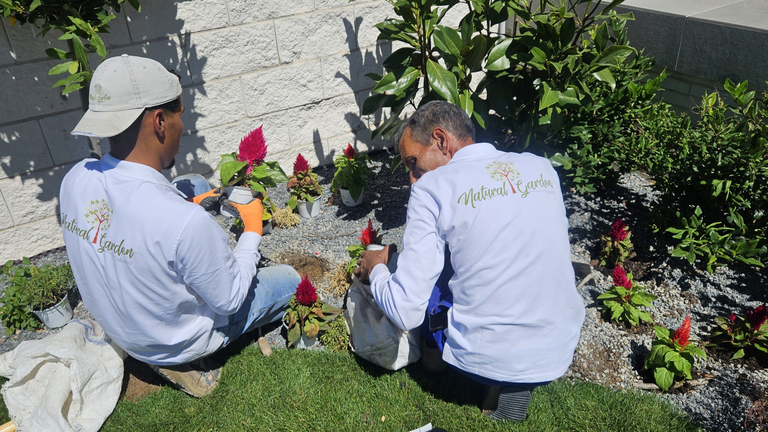 diseñadores de jardines en madrid